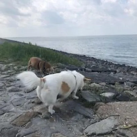 Σπίτι διακοπών Holiday Home By Interhome Grosswurden