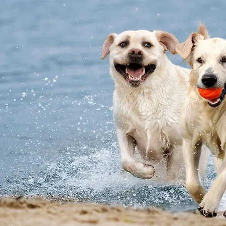 Holiday Home By Interhome Σπίτι διακοπών