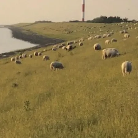 Holiday Home By Interhome