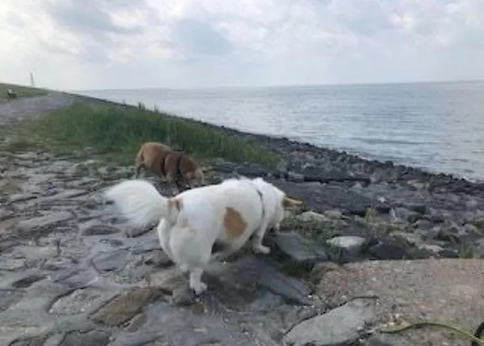 Σπίτι διακοπών Holiday Home By Interhome Grosswurden