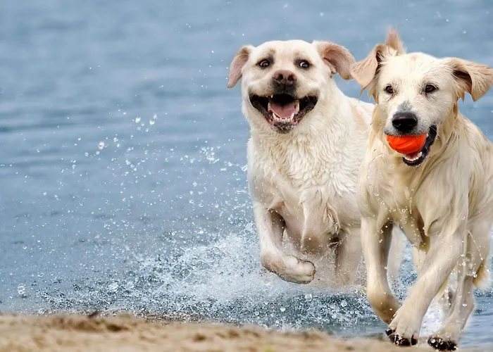 Holiday Home By Interhome Σπίτι διακοπών