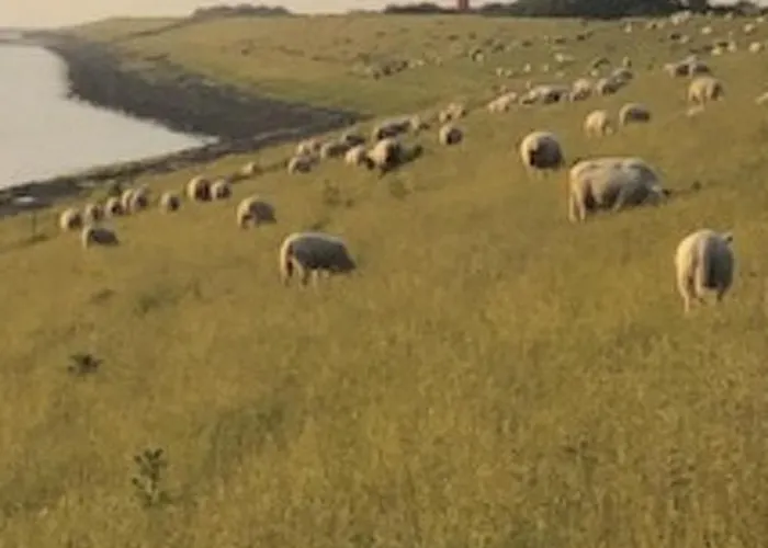 Holiday Home By Interhome